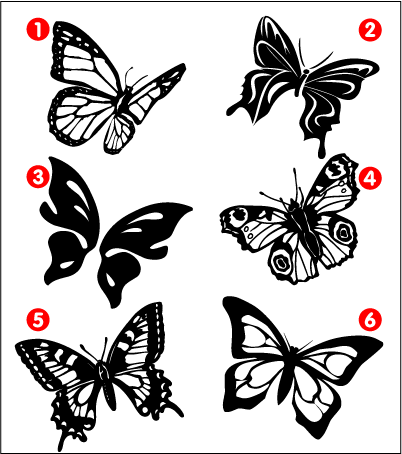 Sticker Papillons 3